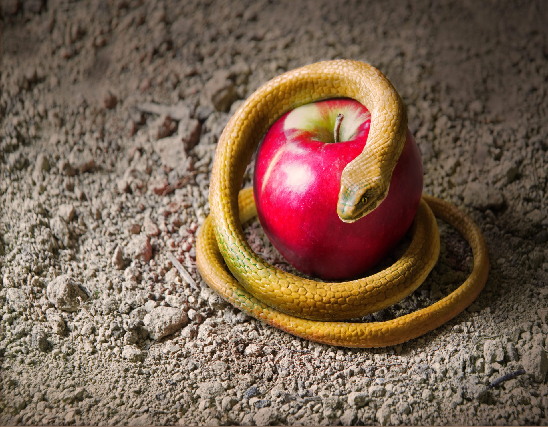 How the Forbidden Fruit Became an