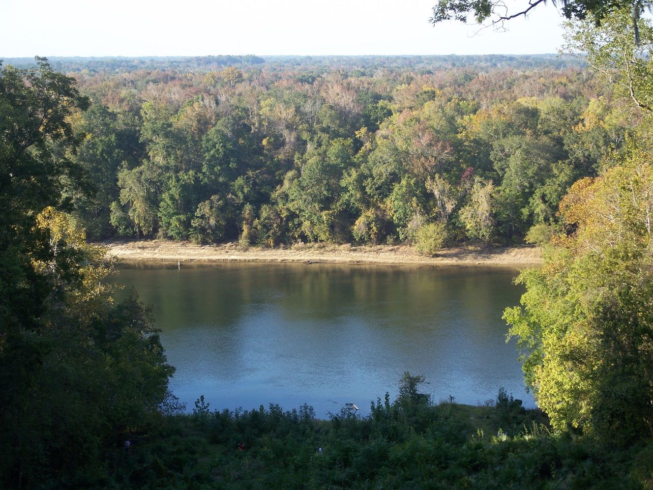 Torreya park, garden of eden?
